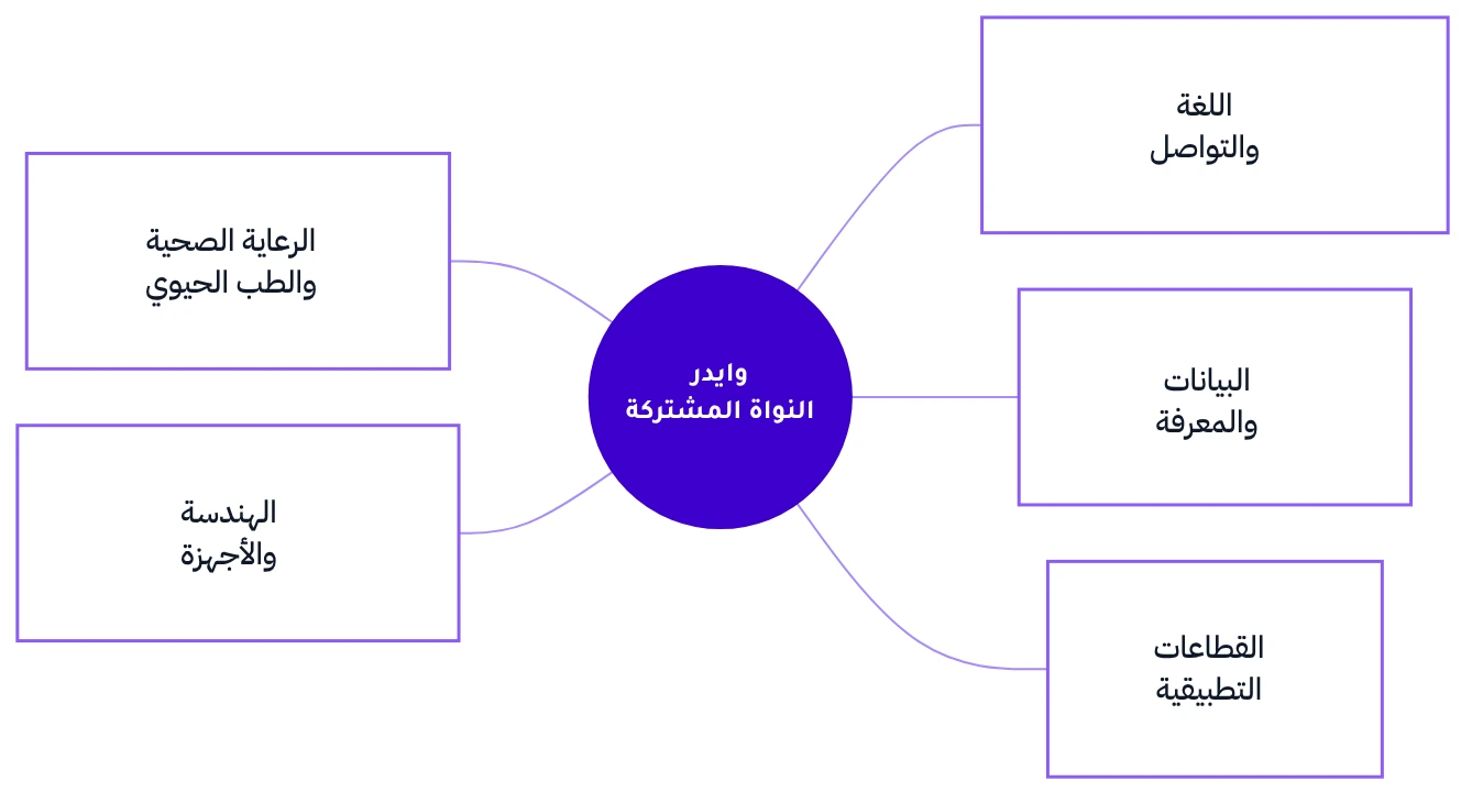 نواةٌ مشتركة واحدة تتصل بخمسة مجالات: الرعاية الصحية والطب الحيوي، والهندسة والأجهزة، واللغة والتواصل، والبيانات والمعرفة، والقطاعات التطبيقية.