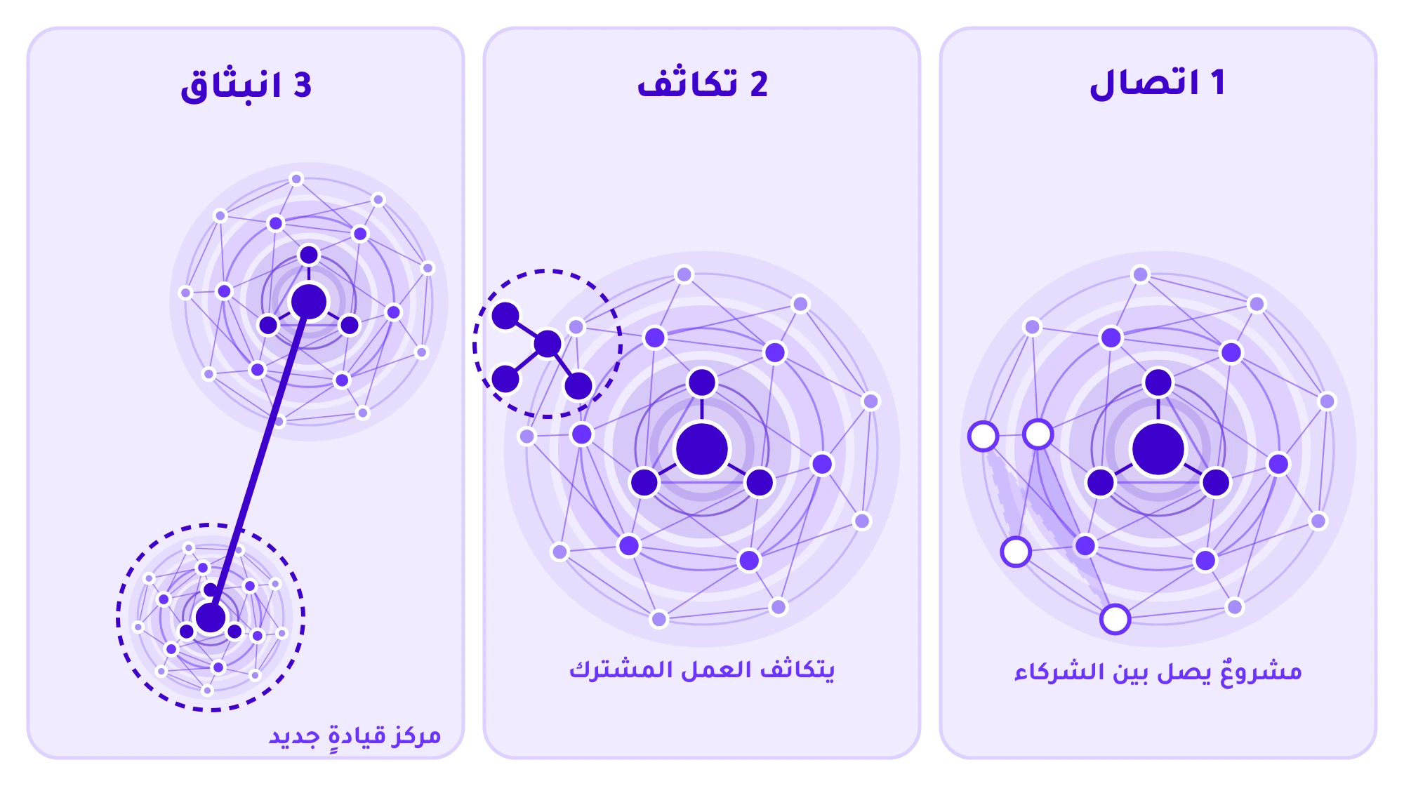 ثلاث مراحل: مشروعٌ يصل بين الشركاء، ثم يتكاثف العمل المشترك، ثم ينبثق مركز قيادةٍ جديد متصلٌ بوايدر.